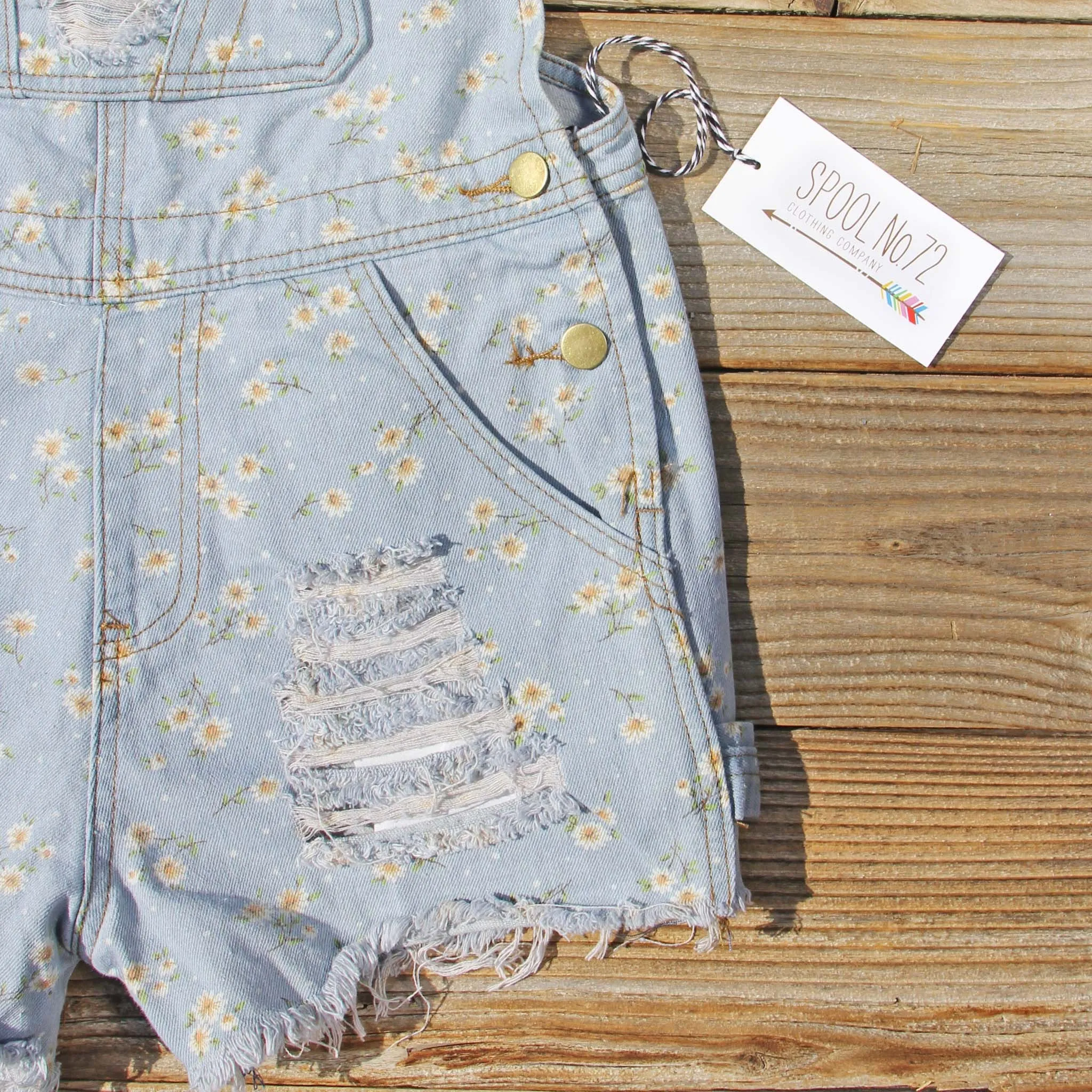 Daisy Distressed Overalls