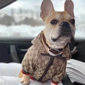 Trendy Brand Hoodie