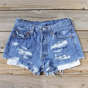 Vintage Distressed Shorts
